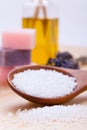 Welnness spa objects soap and bath salt closeup Royalty Free Stock Photo