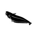 Wels Catfish or Sheatfish a Species of Large Catfish Going Up Retro Woodcut Black and White Style Royalty Free Stock Photo