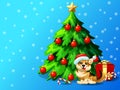 Welsh Corgi ang fir tree horizontat Royalty Free Stock Photo