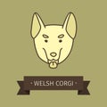 Welsh corgi breed dog for logo