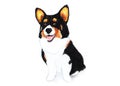 Welsh corgi cardigan, terrier. Watercolor illustration.