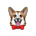 Welsh Corgi dog portrait. Bow. Dog breed. Smiling dog. Decorative red bow. Vector. Royalty Free Stock Photo