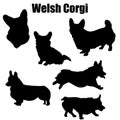 Welsh corgi dog vector icons