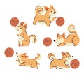 Welsh corgi dogs dribbling a basketball . Hand drawn style cartoon characters . White isolate background . Vector