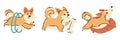 Welsh corgi dogs . Hand drawn style cartoon characters . White isolate background . Vector