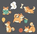Welsh corgi dogs . Hand drawn style cartoon characters . White isolate background . Vector