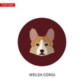 Welsh corgi head vector flat icon on turquoise circular background.