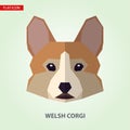 Welsh corgi head vector illustration.