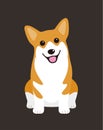 Welsh Corgi Pembroke dog is sitting waiting for taking a picture