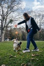 Welsh corgi pembroke dog stays and eyes focused on the prize toy. Female owner is smiling, enjoying the moment with her Royalty Free Stock Photo