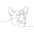 Welsh Corgi Pembroke, shepherd dog, royal dog breed, Welsh dog companion dog one line art. Continuous line drawing of