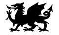 Welsh Dragon Silhouette