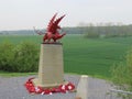 Welsh dragon in Mametz