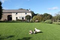 Welsh Farmhouse & Ducks Royalty Free Stock Photo