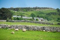 Welsh farmyard Royalty Free Stock Photo