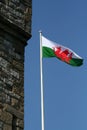 Welsh flag Royalty Free Stock Photo