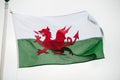 Welsh flag Royalty Free Stock Photo