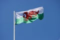 Welsh flag in wind