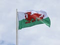 Welsh flag in wind