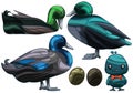 Black east indie ducks