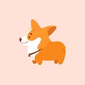 Welsh corgi illustration. Cute dog character. Vector