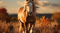 Welsh pony running and standing in high grass, long mane. , brown horse galloping. generative ai Royalty Free Stock Photo