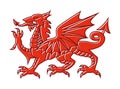 Welsh red Dragon on white background, Vector illustration of Fantasy Monster illustrated on national flag on Wales.