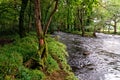 Welsh river scene