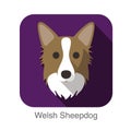 Welsh sheepdog dog face flat icon, dog series