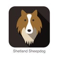 Welsh sheepdog face flat icon, dog series