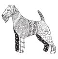 Welsh terrier dog zentangle stylized, vector, illustration, free Royalty Free Stock Photo