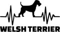 Welsh Terrier heartbeat word