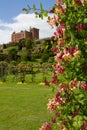 Welshpool castle in Powys