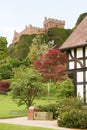 Welshpool castle in Powys