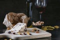 Wensleydale cheese with cranberries, red wine, honey, nuts, raisins on wooden cutting board Royalty Free Stock Photo
