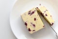 Wensleydale cheese with cranberries. Royalty Free Stock Photo