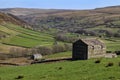 Wensleydale in the Yorkshire Dales National Park - England Royalty Free Stock Photo