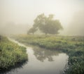 Wensum Valley Mist Royalty Free Stock Photo