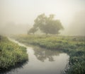 Wensum Valley Mist