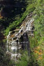 Wentworth falls, Blue Mountains National Park, NSW, Australia Royalty Free Stock Photo