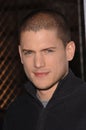Wentworth Miller Royalty Free Stock Photo