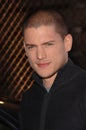 Wentworth Miller Royalty Free Stock Photo