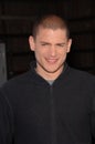 Wentworth Miller Royalty Free Stock Photo