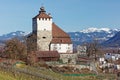 Werdenberg Castle and Austrian mountains