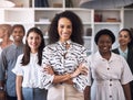 Were all dedicated to success. Portrait of a diverse group of businesspeople standing together in an office. Royalty Free Stock Photo