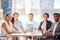 Were about to brainstorm another brilliant plan. Portrait of a group of businesspeople having a meeting in an office.