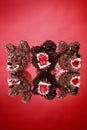 Werewolf cupcakes