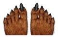 Werewolf Feet