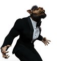 Werewolf in a white background Royalty Free Stock Photo