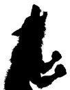 Werewolf Wolfman Halloween Silhouette